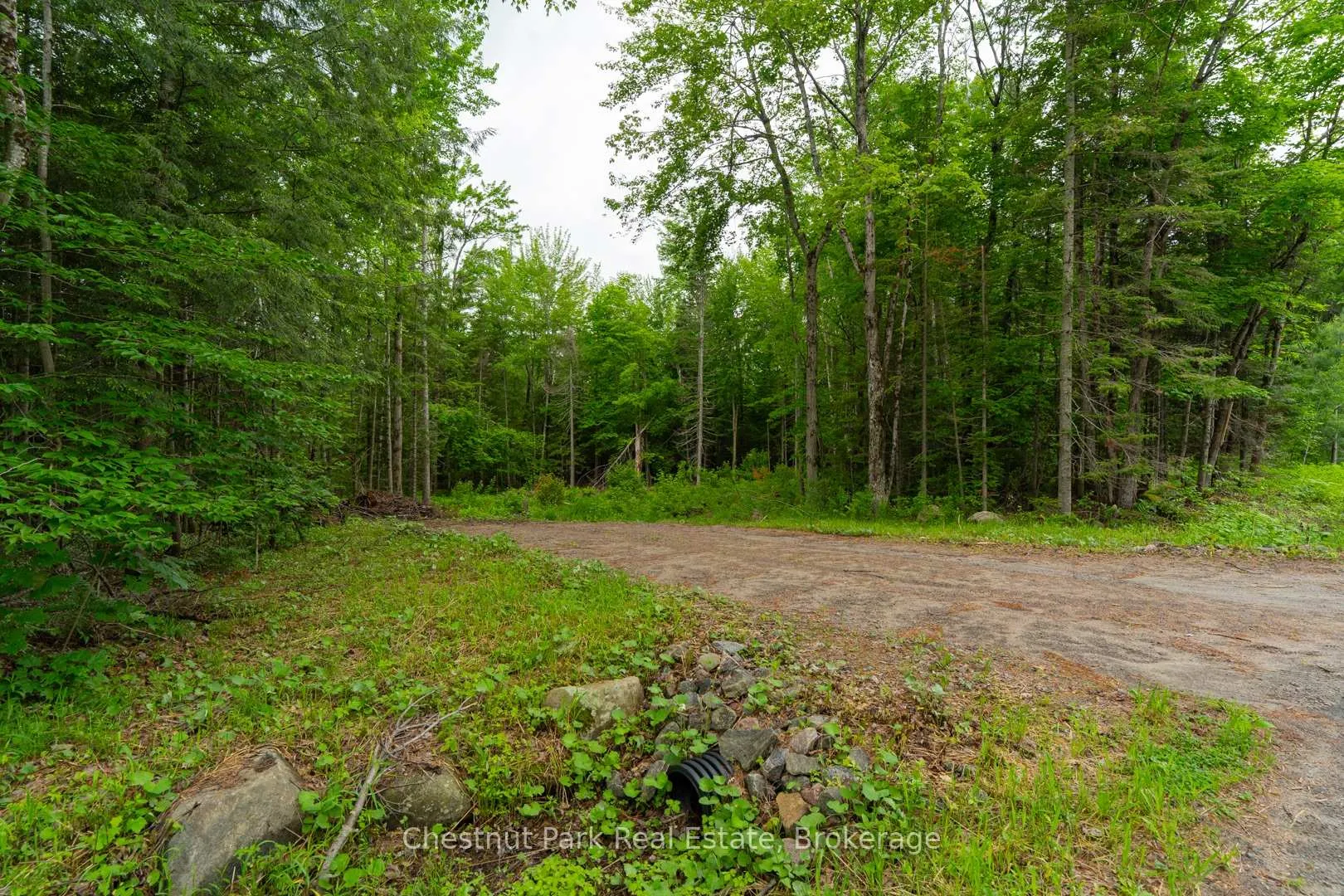 Photo 3 of 1066 Uffington Road, Bracebridge, Draper — HOMEH