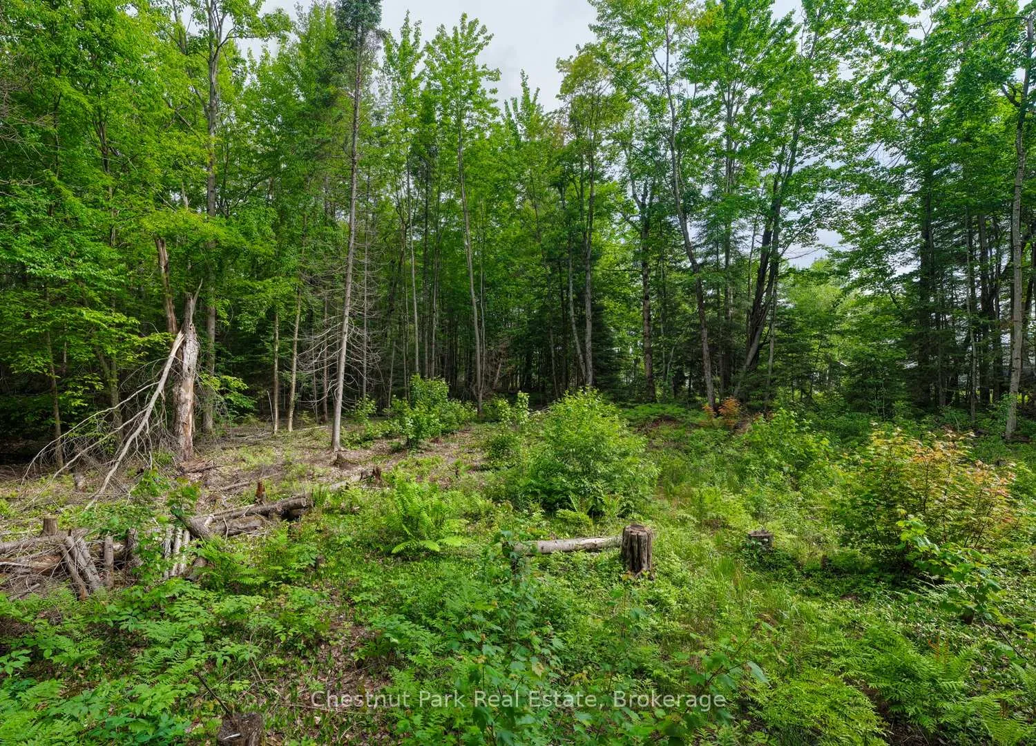 Photo 4 of 1066 Uffington Road, Bracebridge, Draper — HOMEH