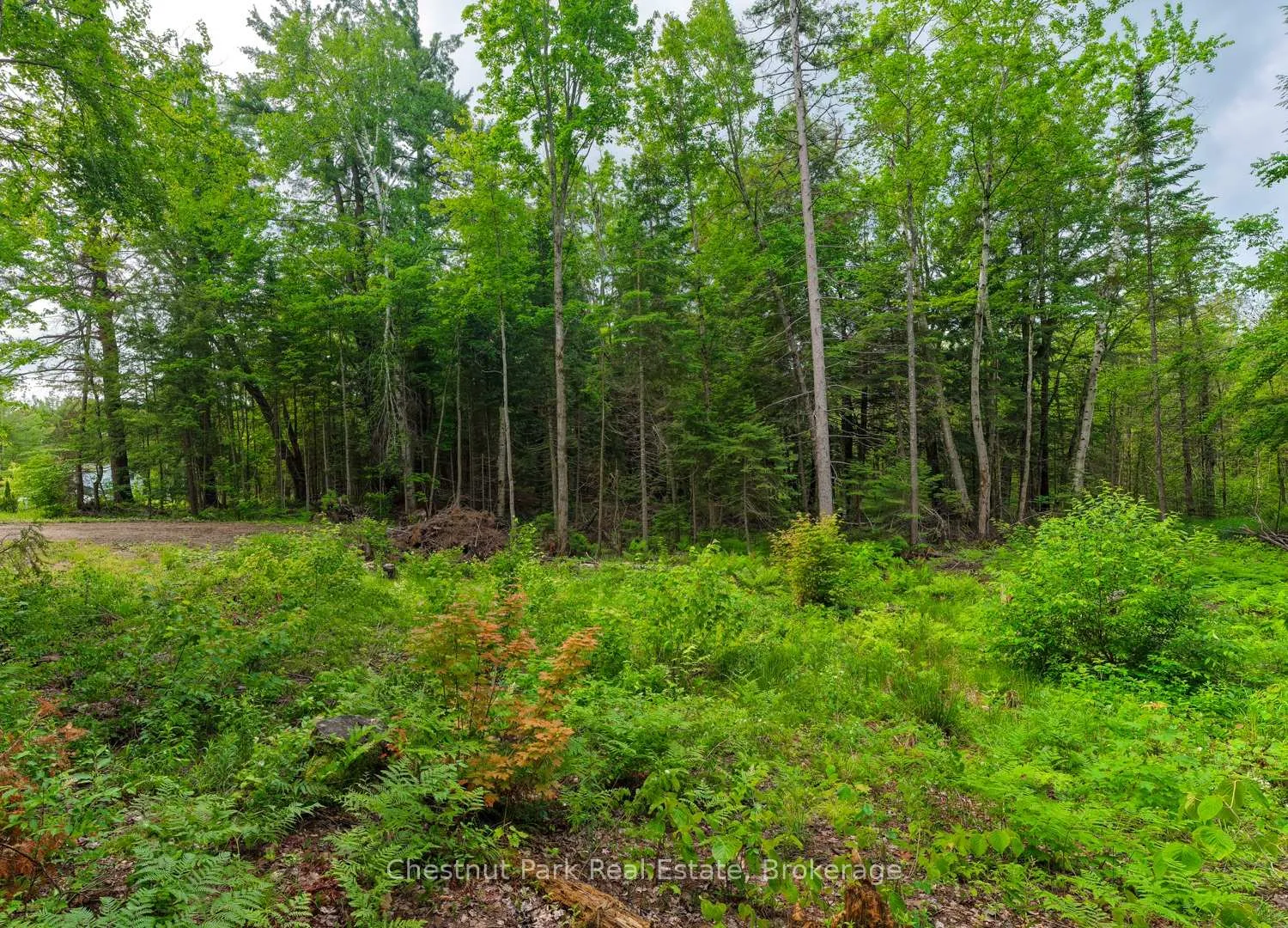 Photo 5 of 1066 Uffington Road, Bracebridge, Draper — HOMEH