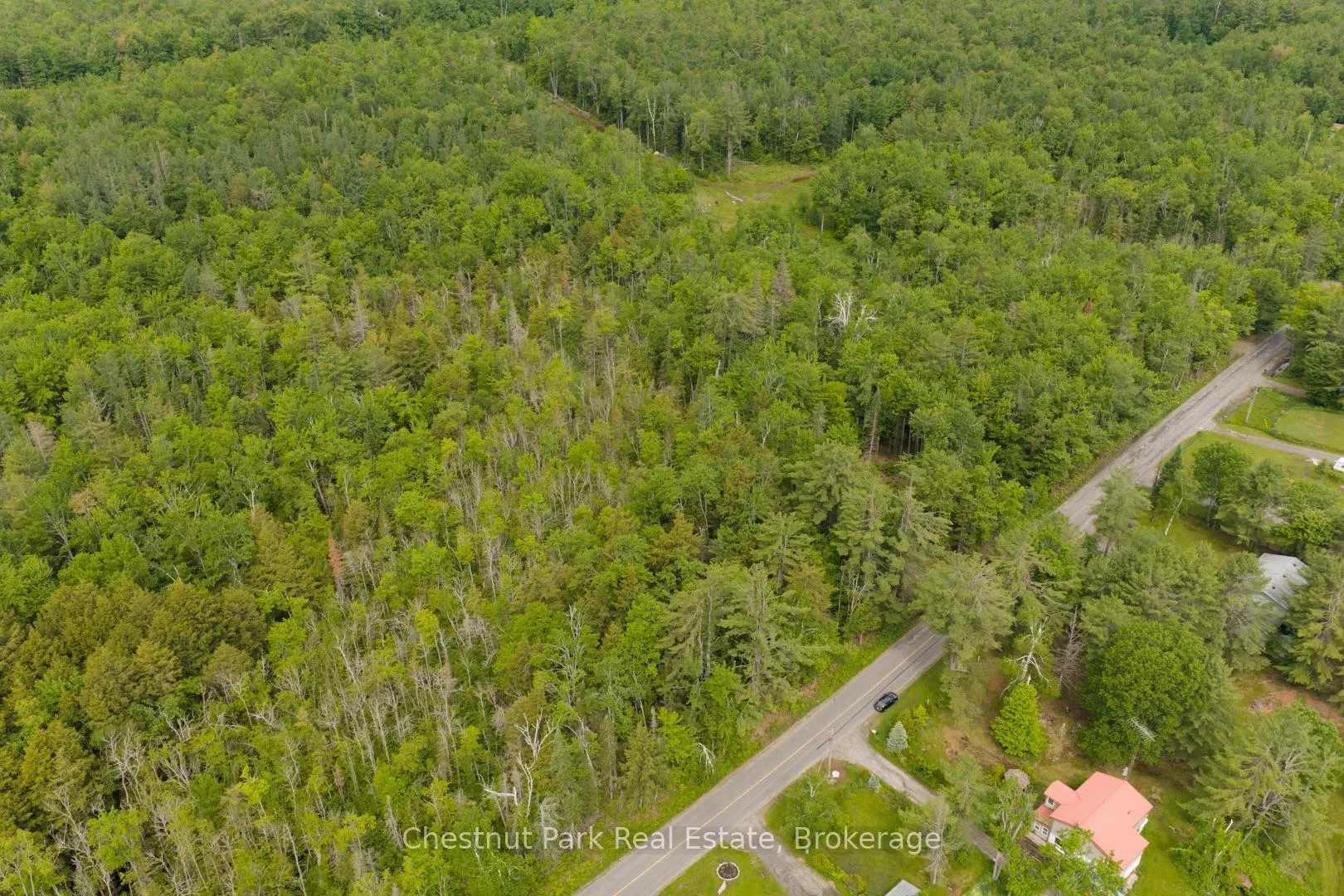 Photo 9 of 1066 Uffington Road, Bracebridge, Draper — HOMEH