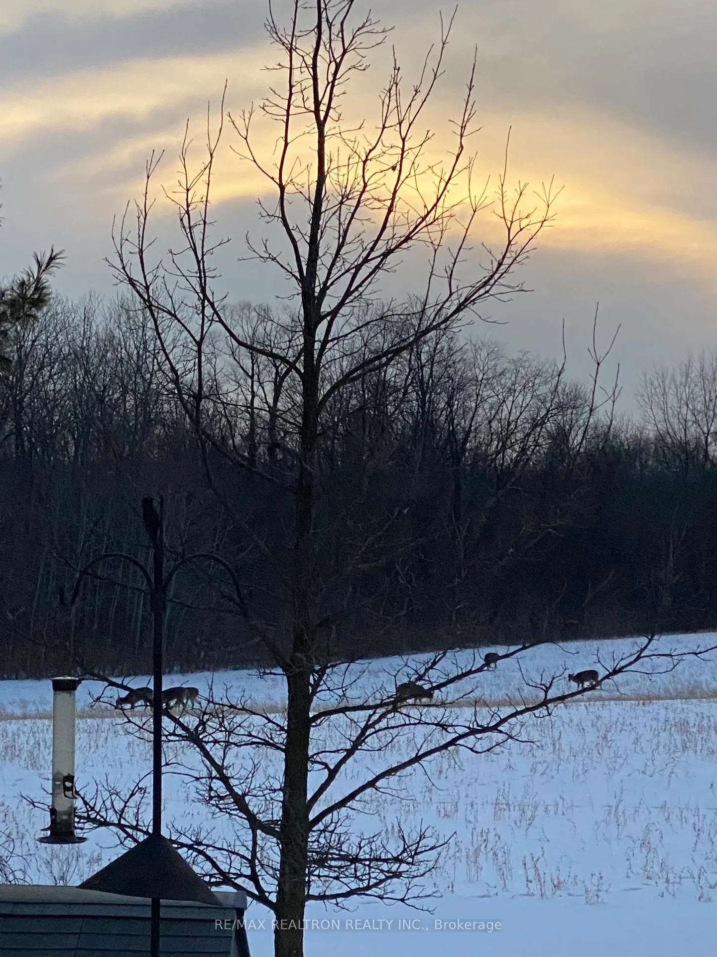 Photo 50 of 45 Waxwing Crescent, Guelph, Kortright Hills — HOMEH