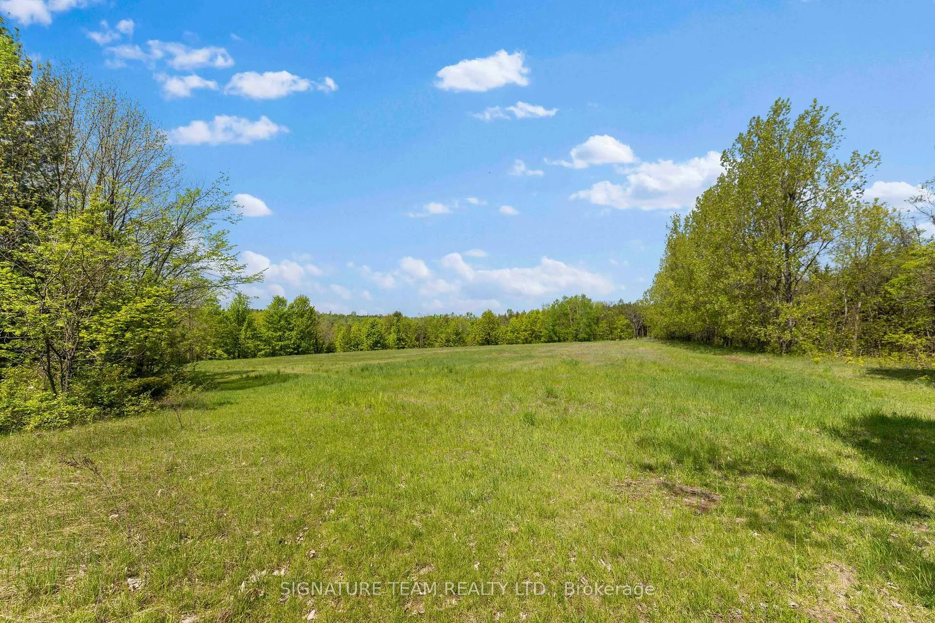 Photo 17 of 356 Dittburner Road, Whitewater Region, Whitewater Region — HOMEH