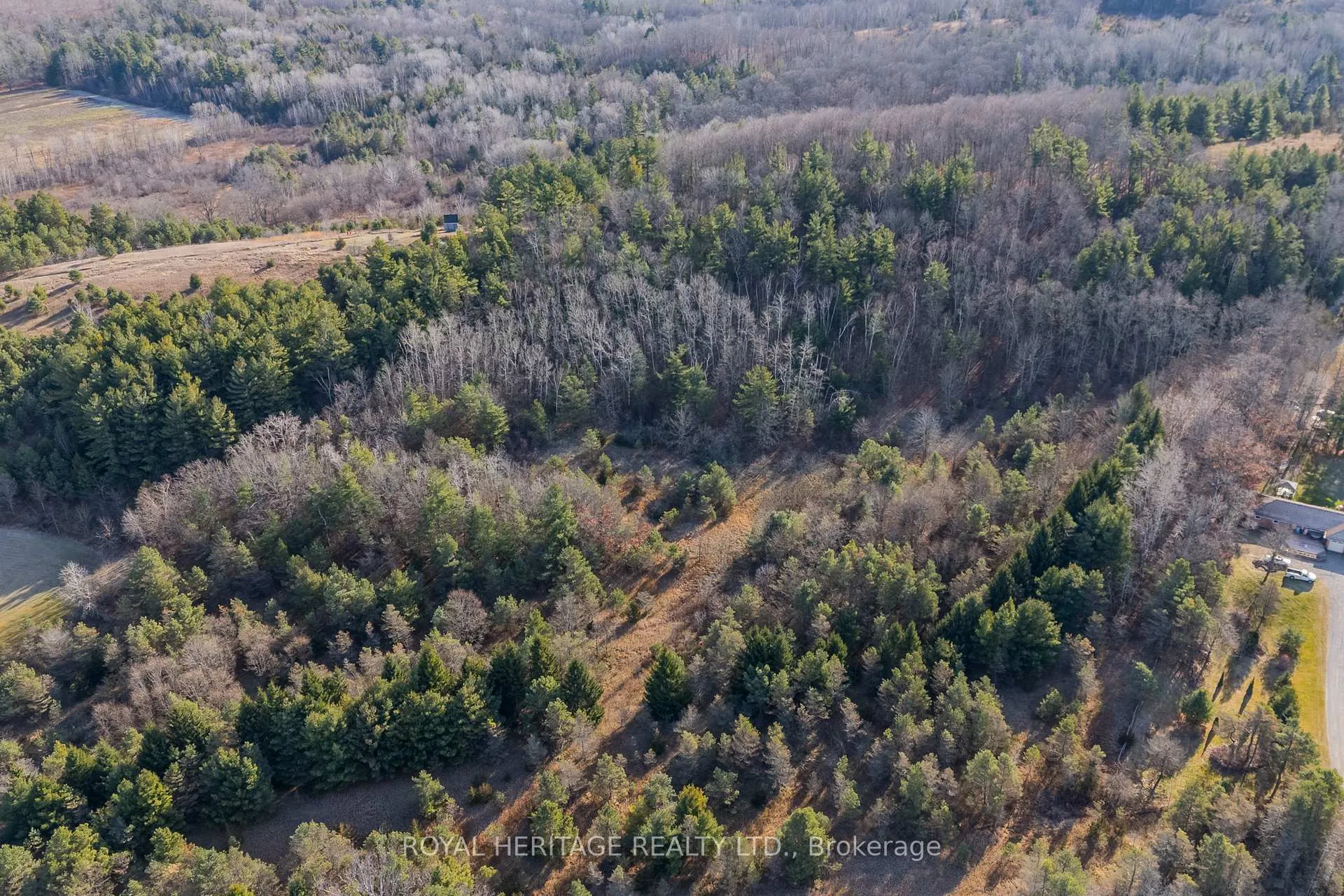 Photo 12 of PT LT 31 County 25 Road, Cramahe, Castleton — HOMEH