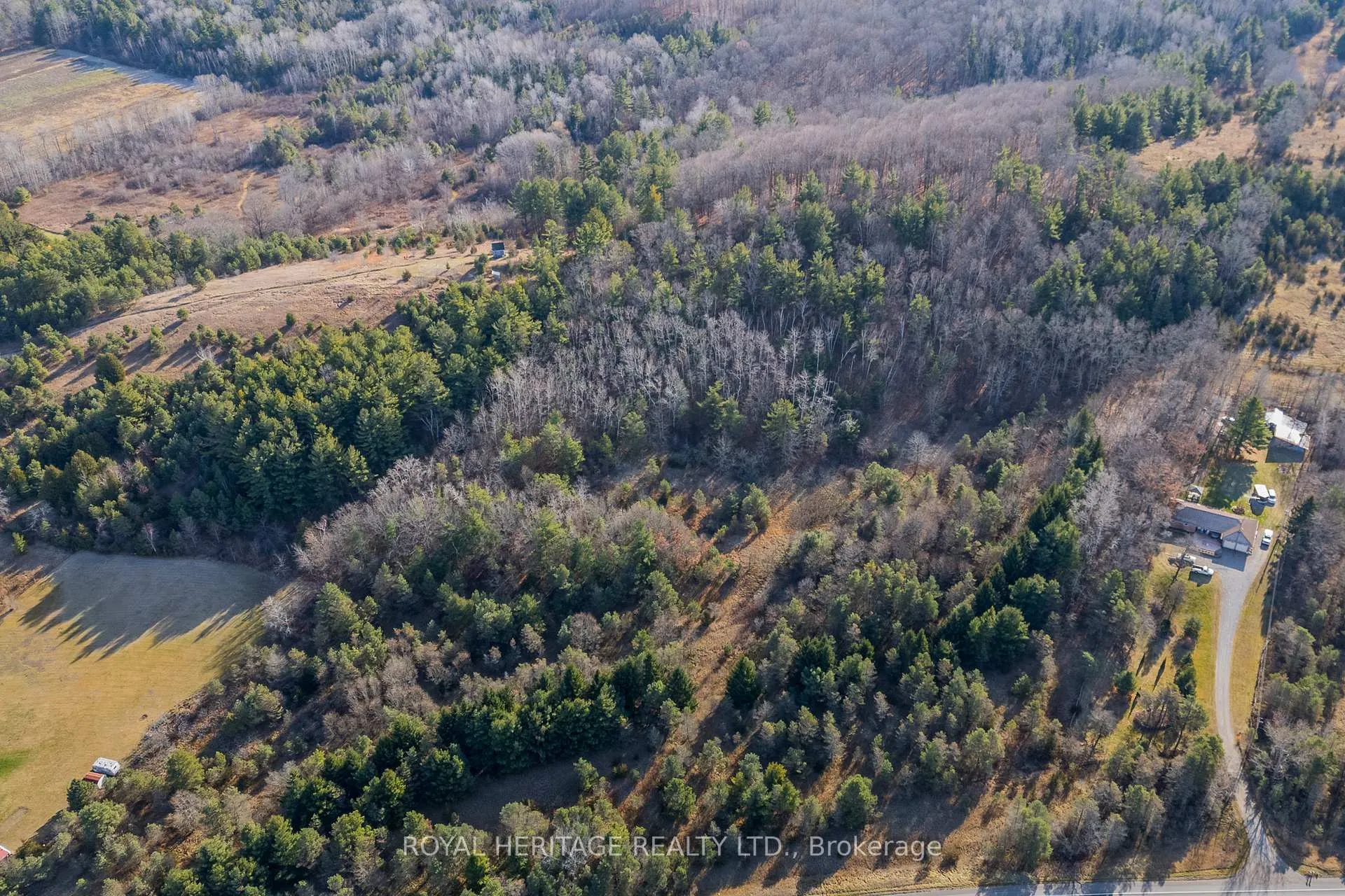 Photo 13 of PT LT 31 County 25 Road, Cramahe, Castleton — HOMEH