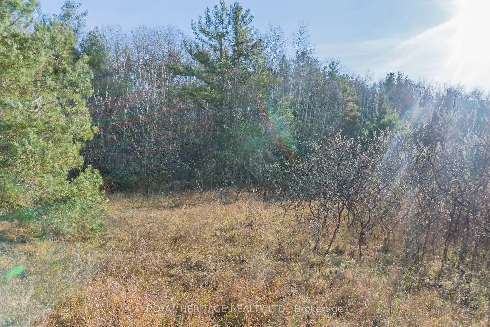 Photo 15 of PT LT 31 County 25 Road, Cramahe, Castleton — HOMEH