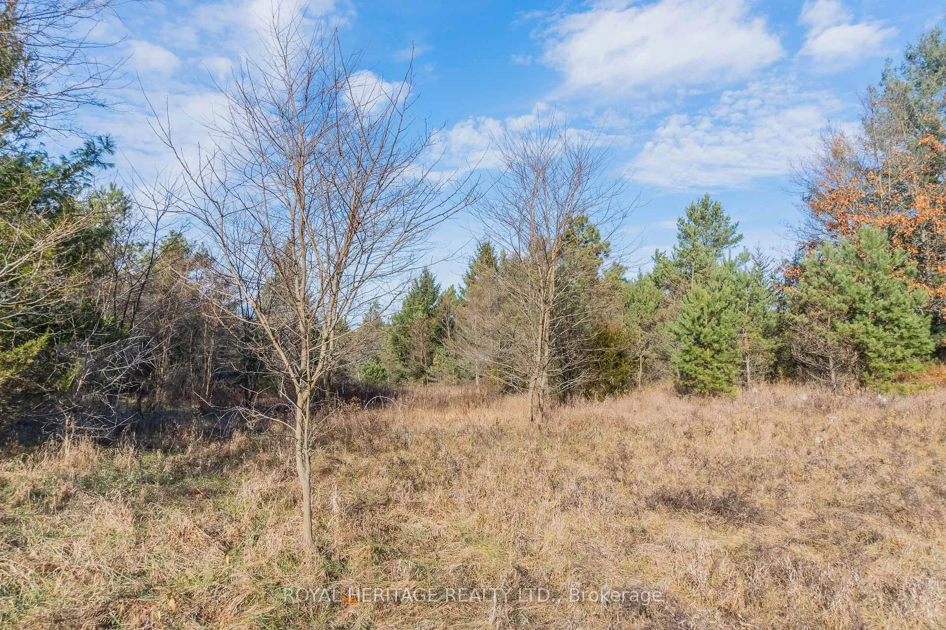 Photo 16 of PT LT 31 County 25 Road, Cramahe, Castleton — HOMEH