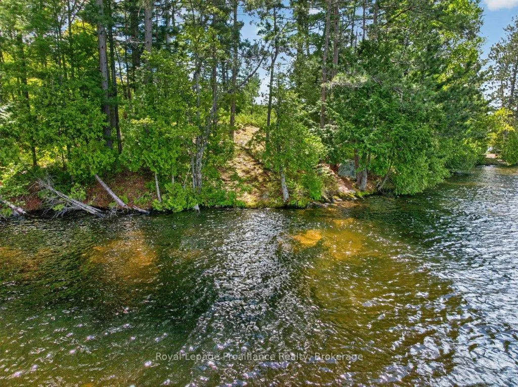 Photo of 2485 Alf's Bay Lane