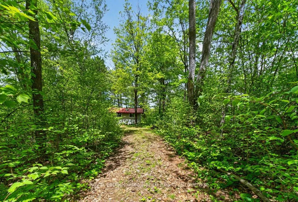 Photo 4 of 2485 Alf's Bay Lane, Frontenac, Frontenac Centre — HOMEH