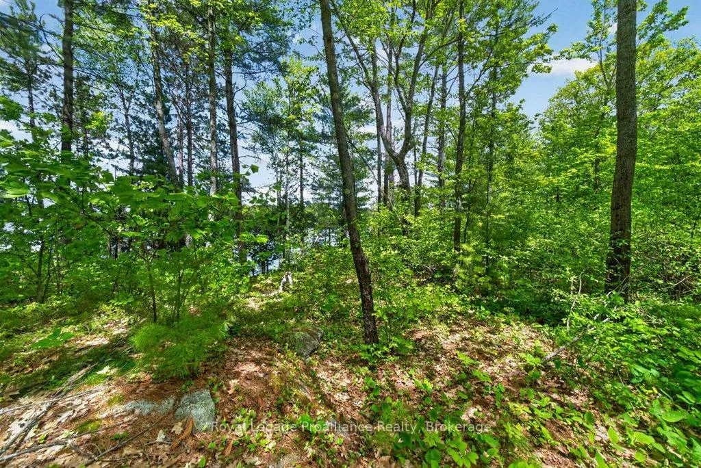 Photo 29 of 2485 Alf's Bay Lane, Frontenac, Frontenac Centre — HOMEH