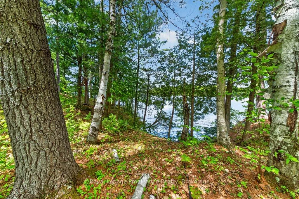 Photo 30 of 2485 Alf's Bay Lane, Frontenac, Frontenac Centre — HOMEH