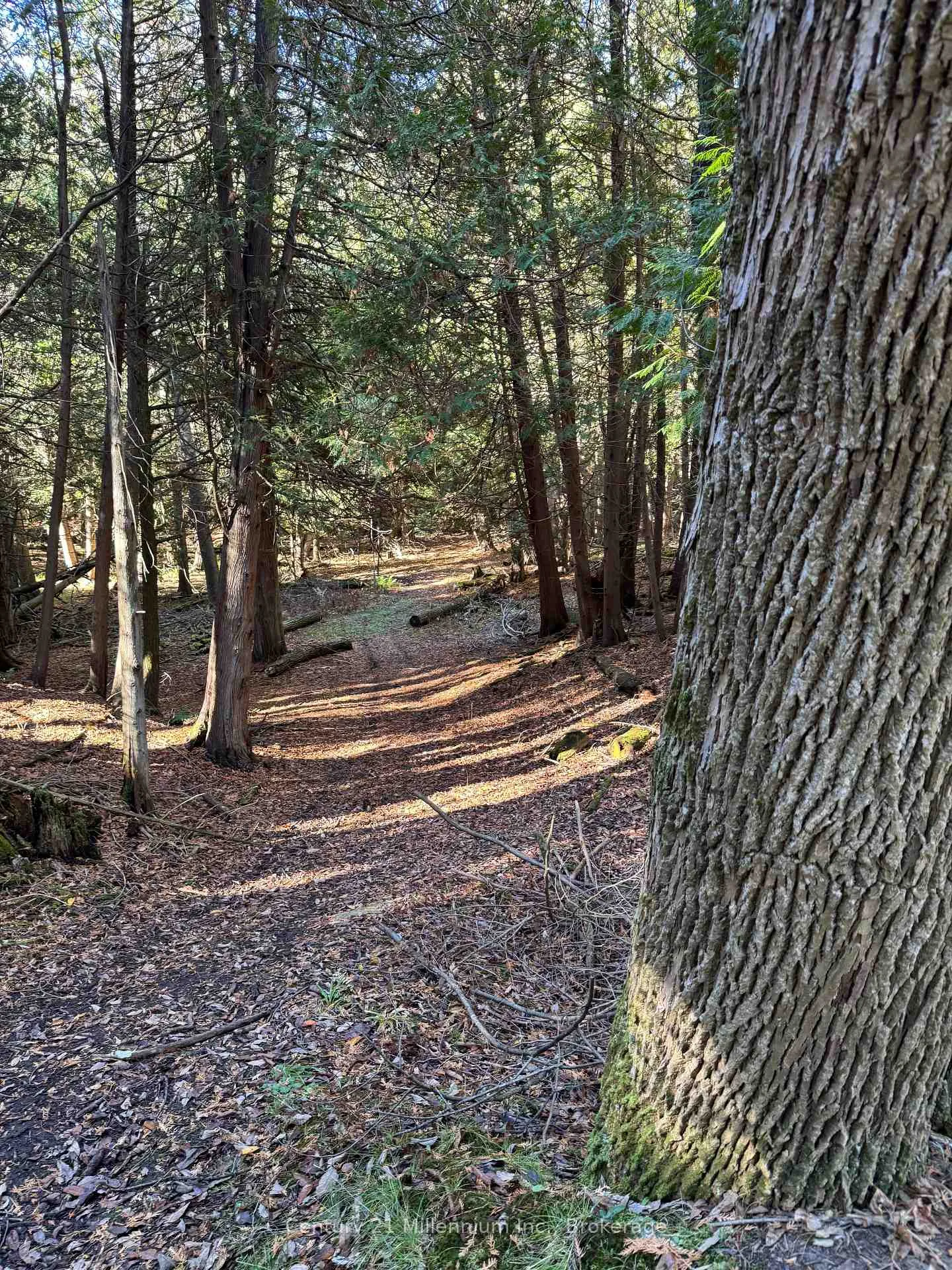 Photo 4 of 627383 15 Side Road, Mulmur, Rural Mulmur — HOMEH