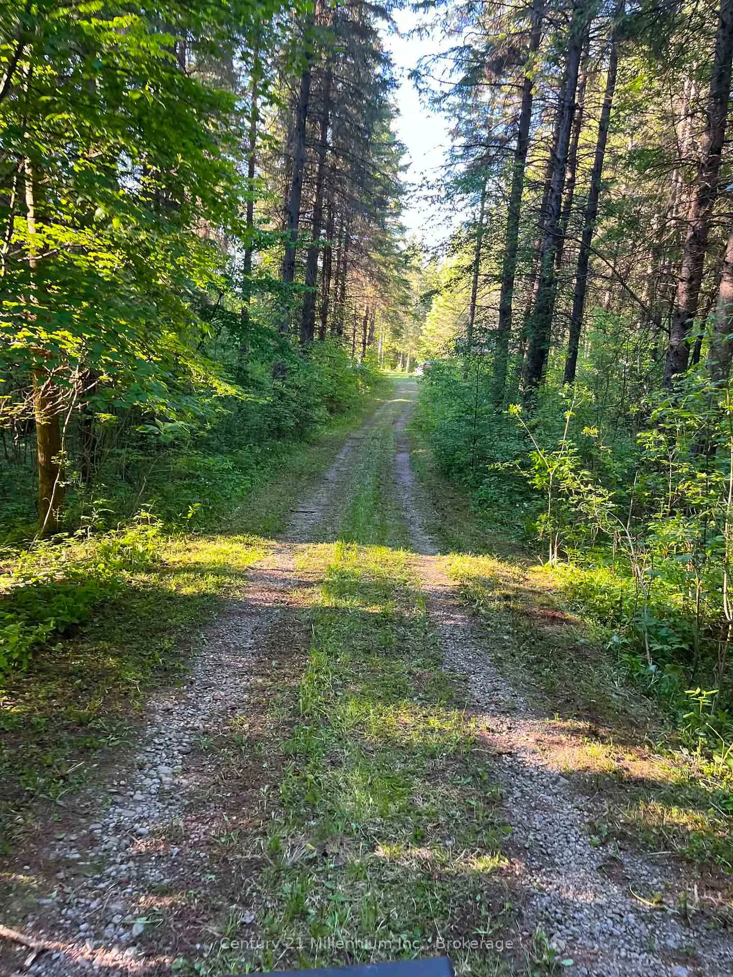 Photo 7 of 627383 15 Side Road, Mulmur, Rural Mulmur — HOMEH