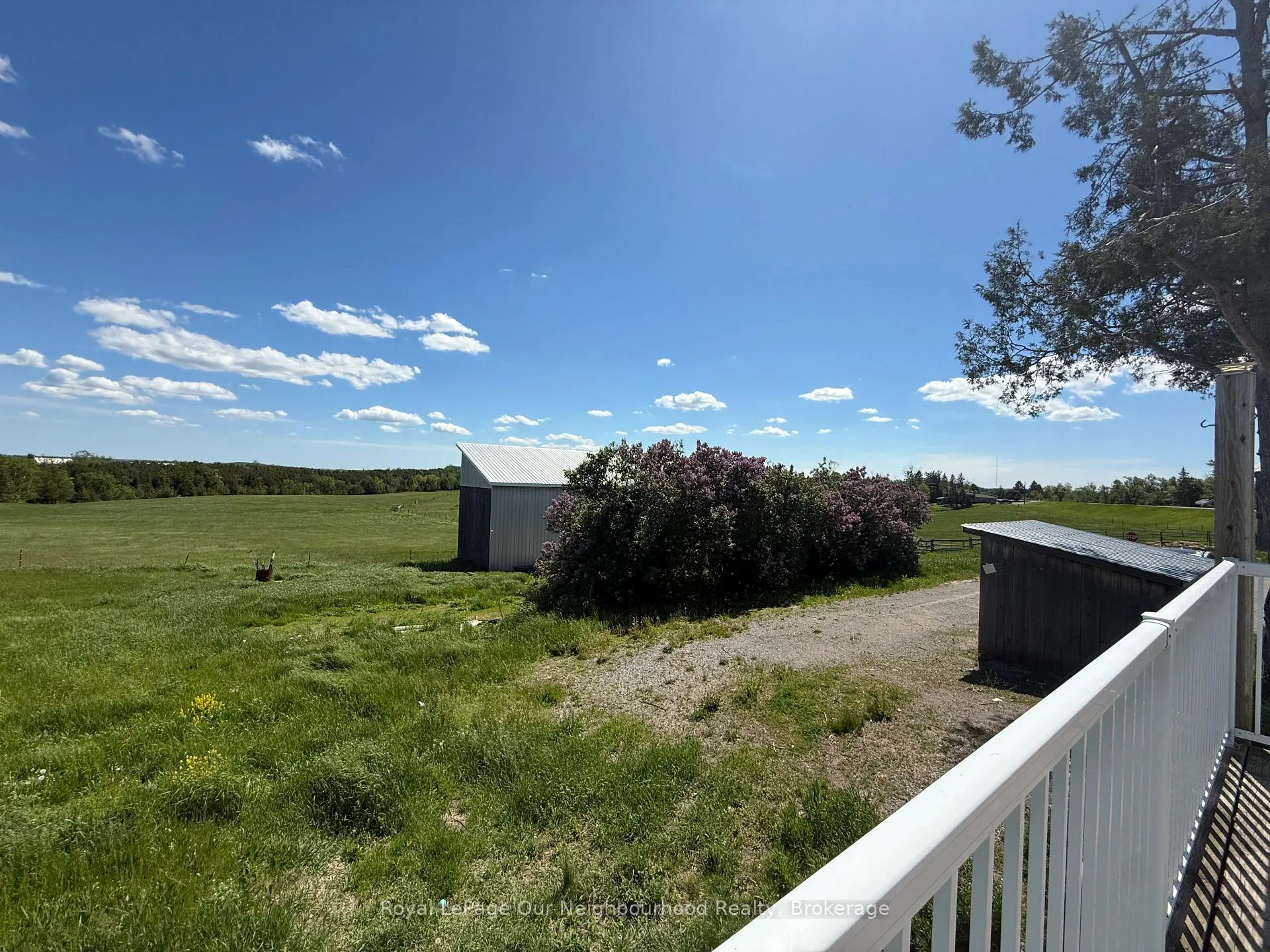 Photo 5 of 503 County Road 4, Douro-Dummer — HOMEH