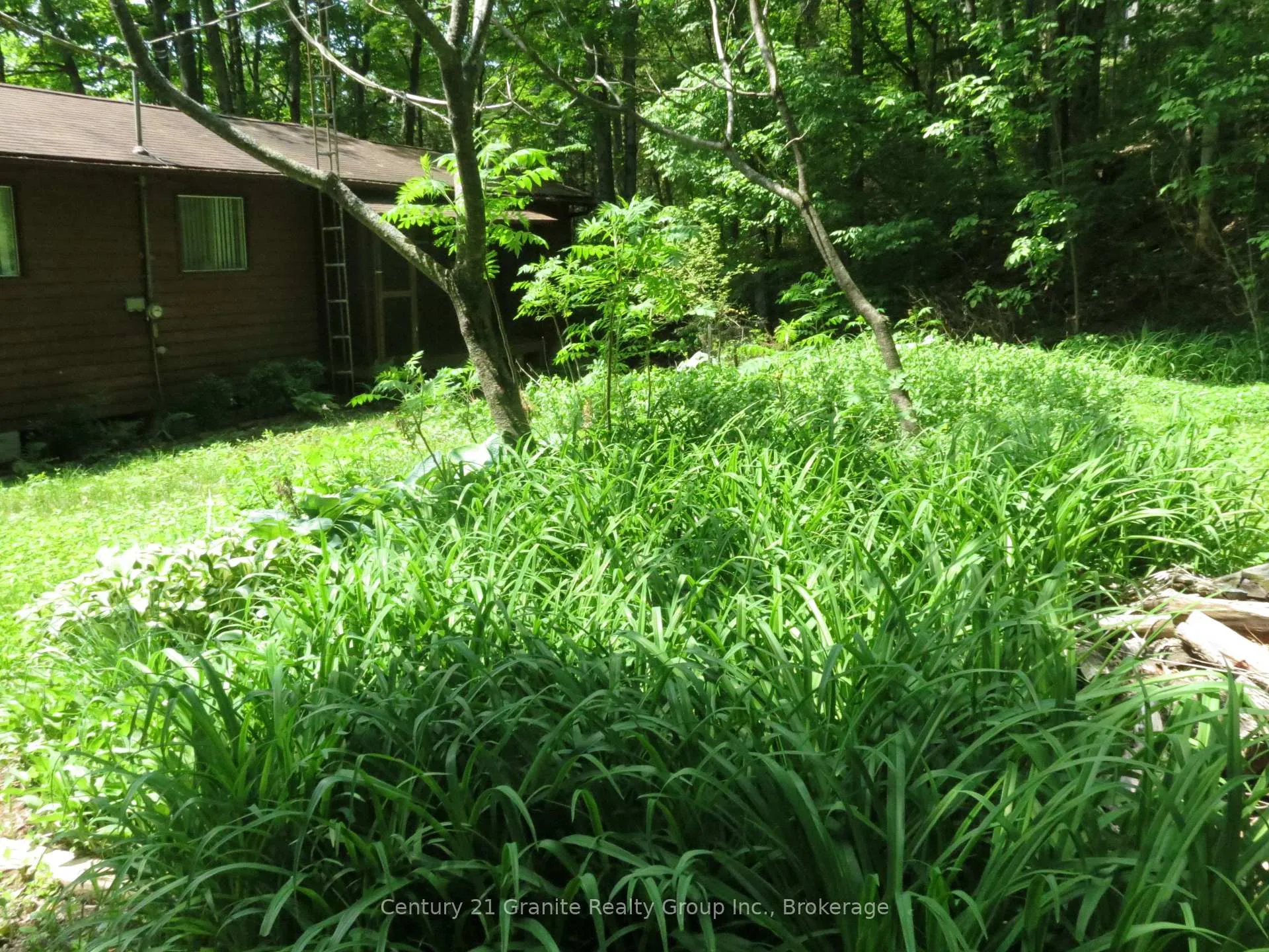 Photo 30 of 245 Fr 330, Trent Lakes — HOMEH