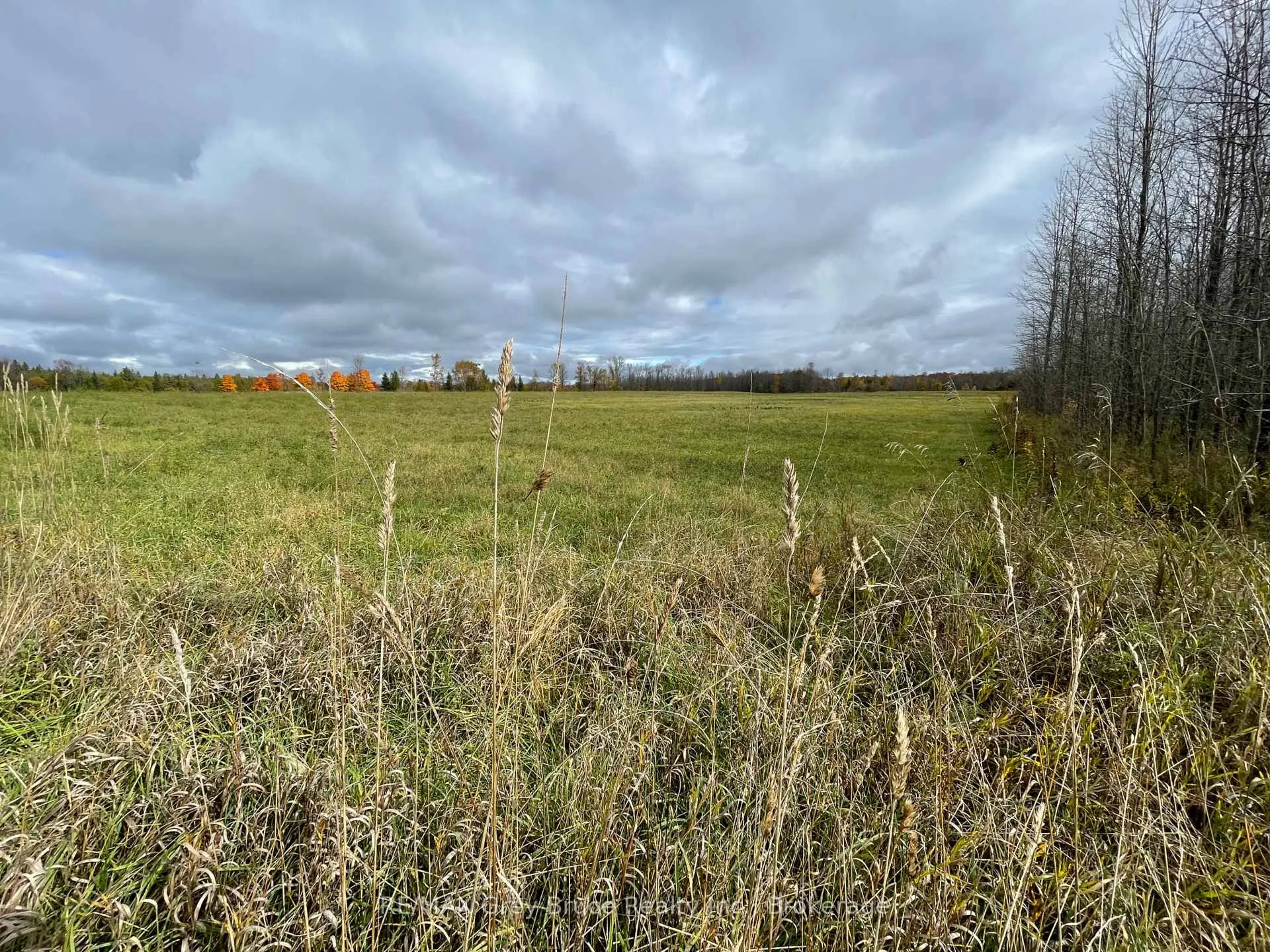 Photo 14 of 2-3 Sutter Road, Northern Bruce Peninsula — HOMEH