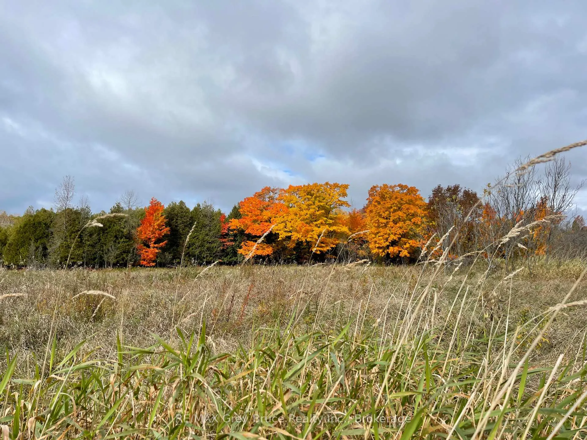 Photo 18 of 2-3 Sutter Road, Northern Bruce Peninsula — HOMEH