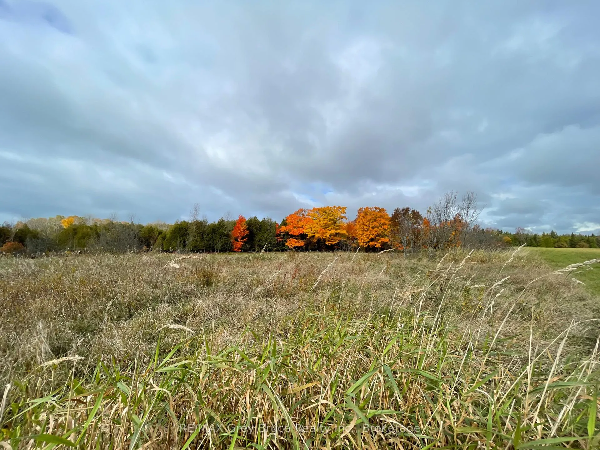 Photo 19 of 2-3 Sutter Road, Northern Bruce Peninsula — HOMEH