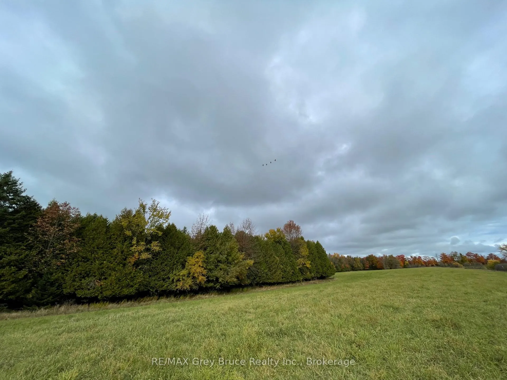 Photo 26 of 2-3 Sutter Road, Northern Bruce Peninsula — HOMEH