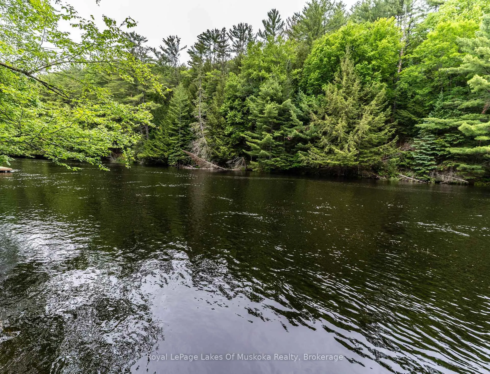 Photo 3 of 1136 Springdale Shores Private, Bracebridge, Macaulay — HOMEH