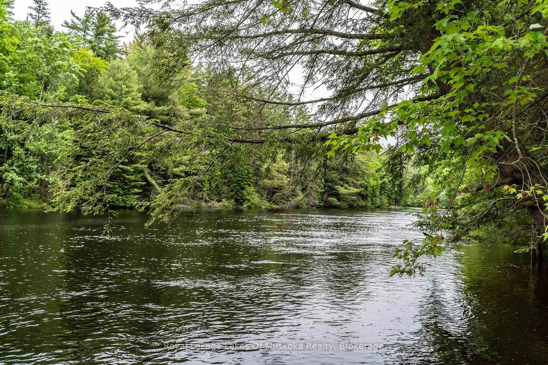 Photo 4 of 1136 Springdale Shores Private, Bracebridge, Macaulay — HOMEH
