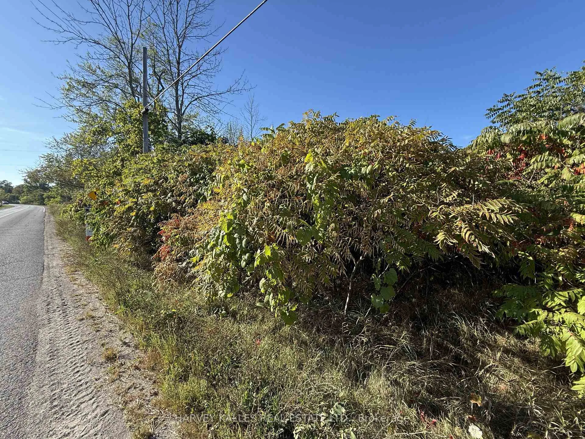 Photo 3 of Beside 2885 County Road 10, Prince Edward County, South Marysburgh — HOMEH