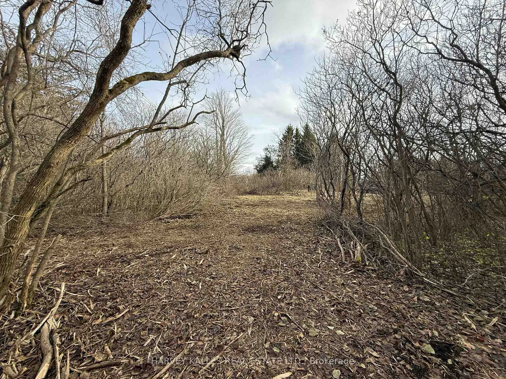 Photo 7 of Beside 2885 County Road 10, Prince Edward County, South Marysburgh — HOMEH