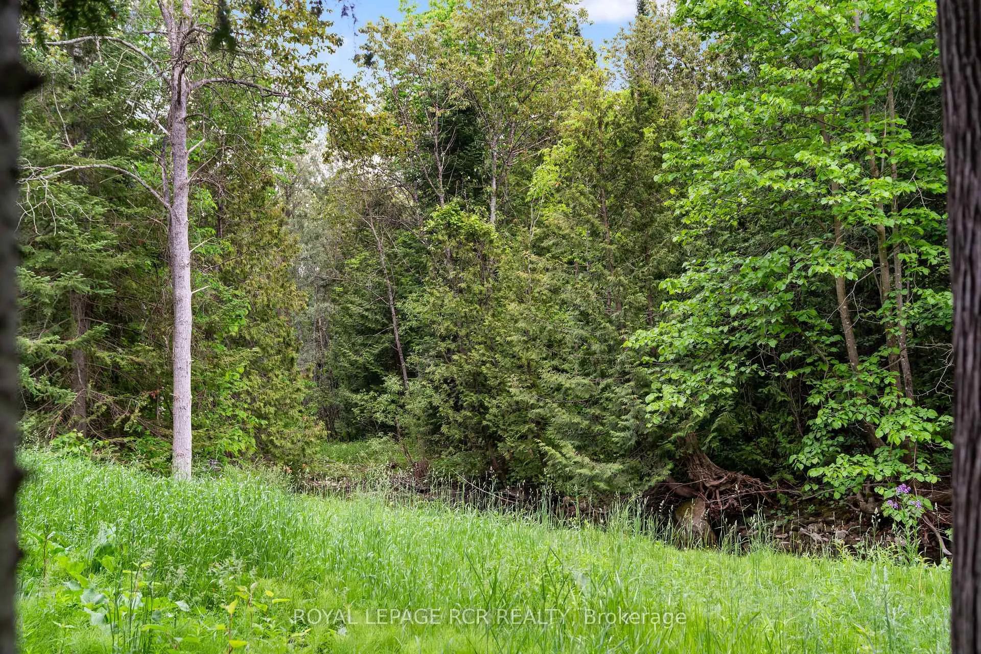 Photo 18 of 307114 Hockley Road, Mono, Rural Mono — HOMEH