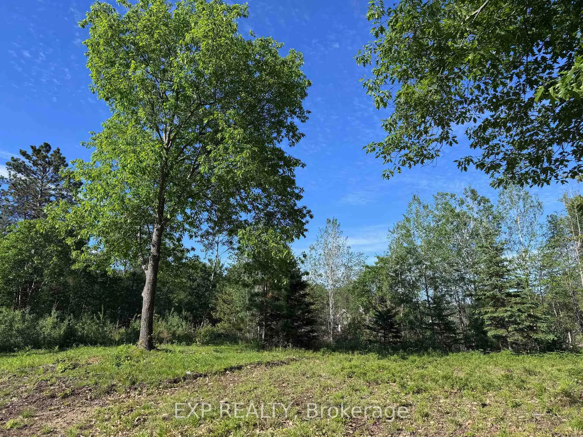 Photo 6 of 71 Yantha Crescent, Madawaska Valley, Madawaska Valley — HOMEH