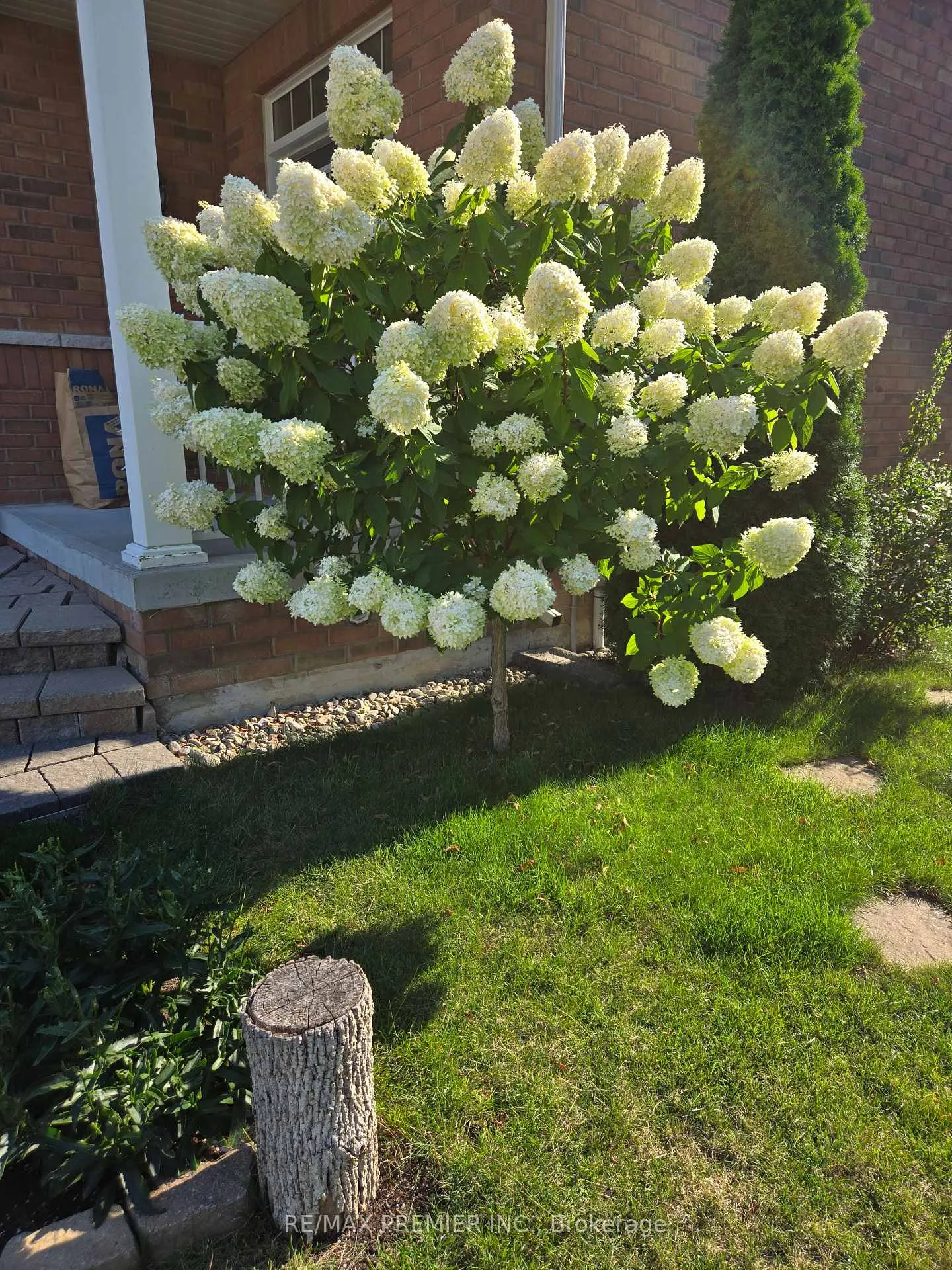 Photo 44 of 32 Blue Grouse Road, Vaughan, Patterson — HOMEH