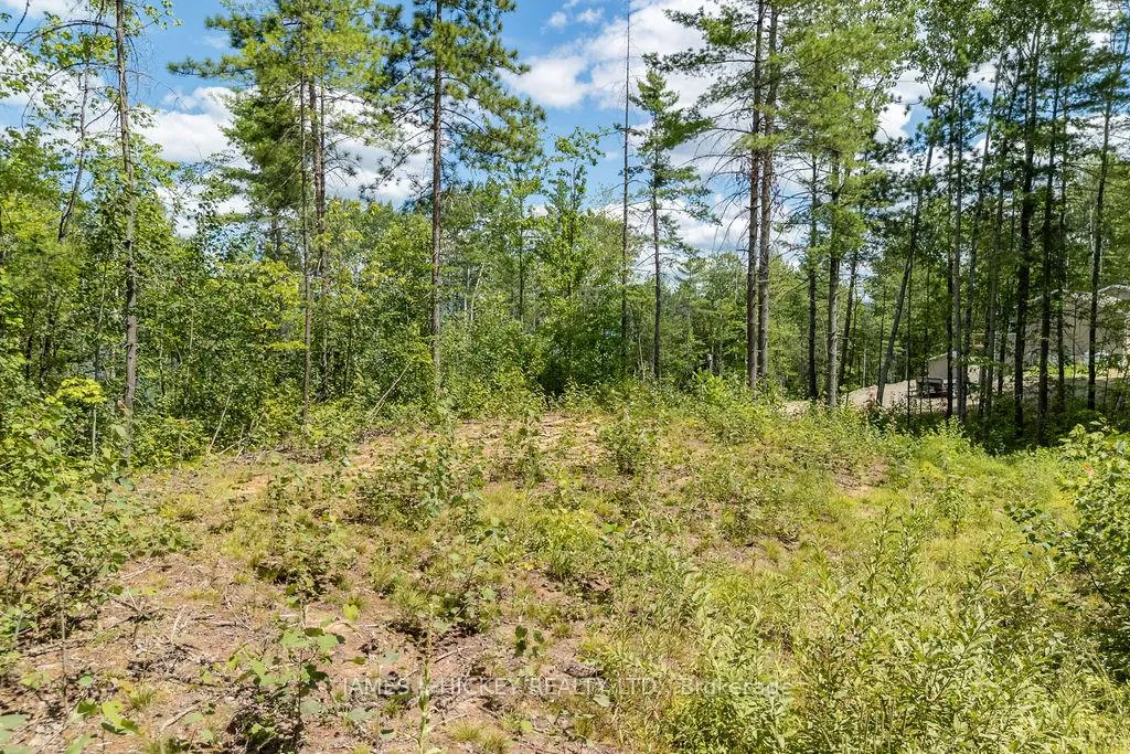 Photo 15 of 00 McAnulty Road, Deep River, Deep River — HOMEH