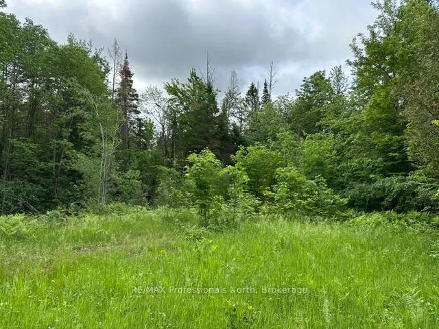 Photo of 1164 Ravine Road