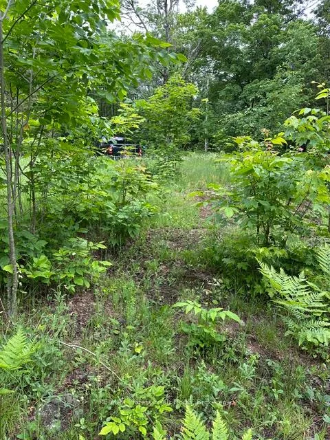 Photo 14 of 1164 Ravine Road, Minden Hills, Lutterworth — HOMEH