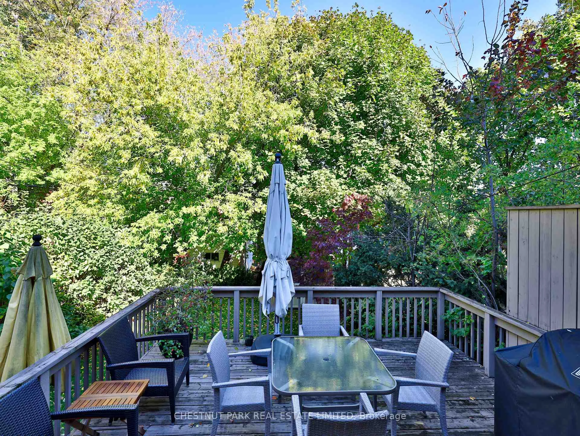 Photo 40 of 90 Chudleigh Avenue, Toronto, Lawrence Park South — HOMEH