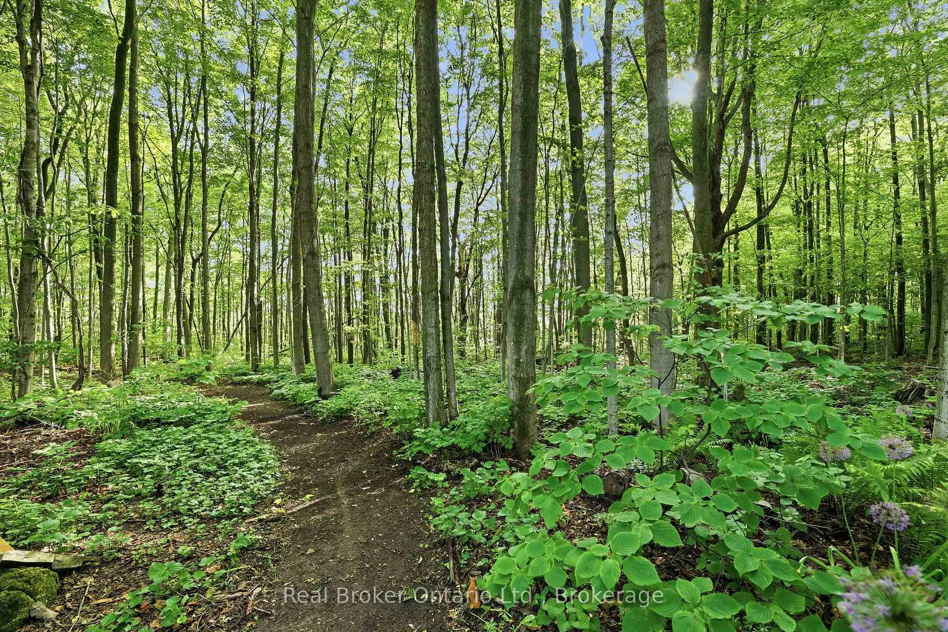 Photo 31 of 805500 25 Side Road, Grey Highlands — HOMEH
