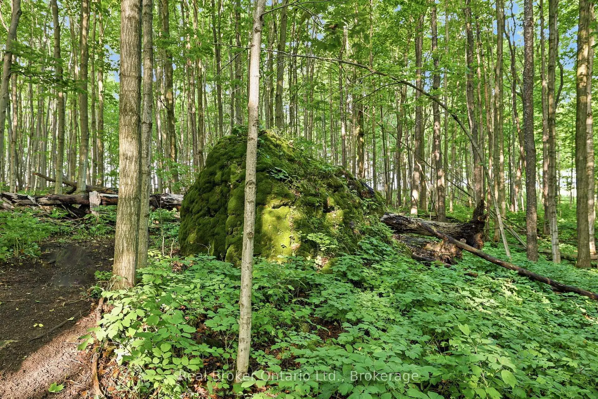 Photo 32 of 805500 25 Side Road, Grey Highlands — HOMEH