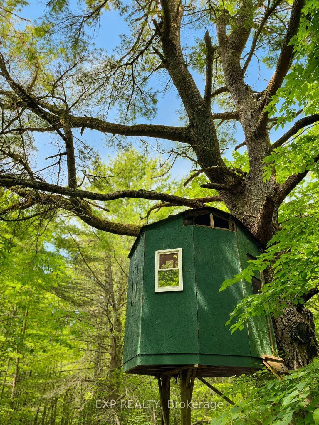 Photo 13 of 141 Carson Heights Road, Madawaska Valley, Madawaska Valley — HOMEH