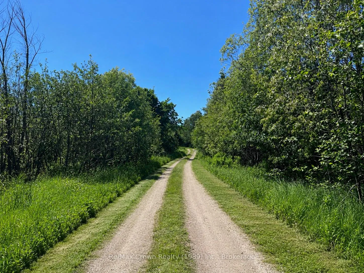 Photo 7 of 5 20th Side Road, Parry Sound Remote Area, McConkey — HOMEH