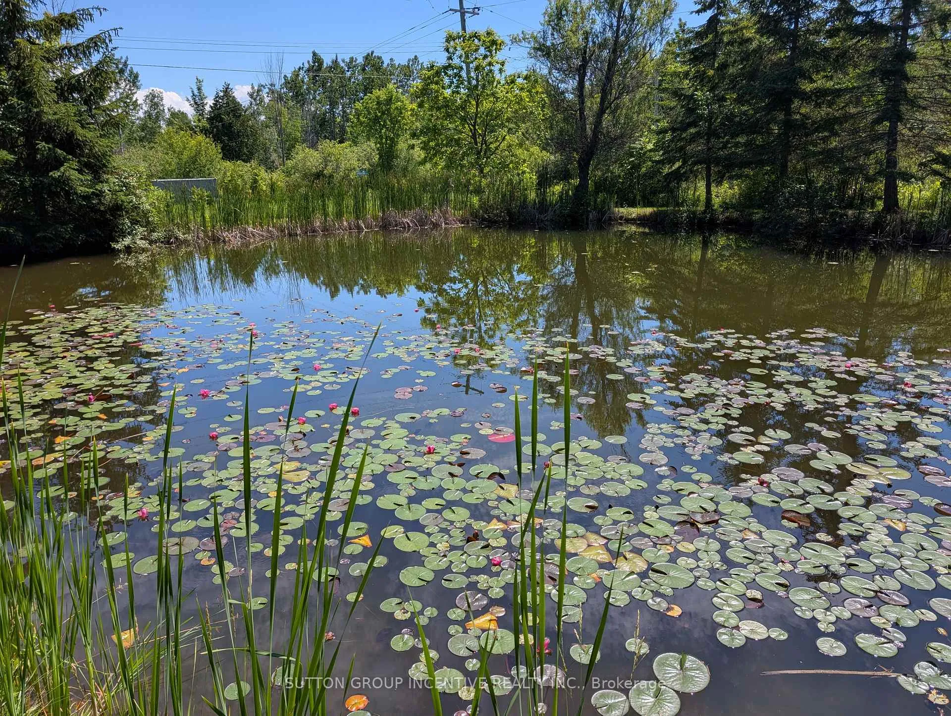 Photo 67 of 10 Springhome Road, Oro-Medonte, Rural Oro-Medonte — HOMEH