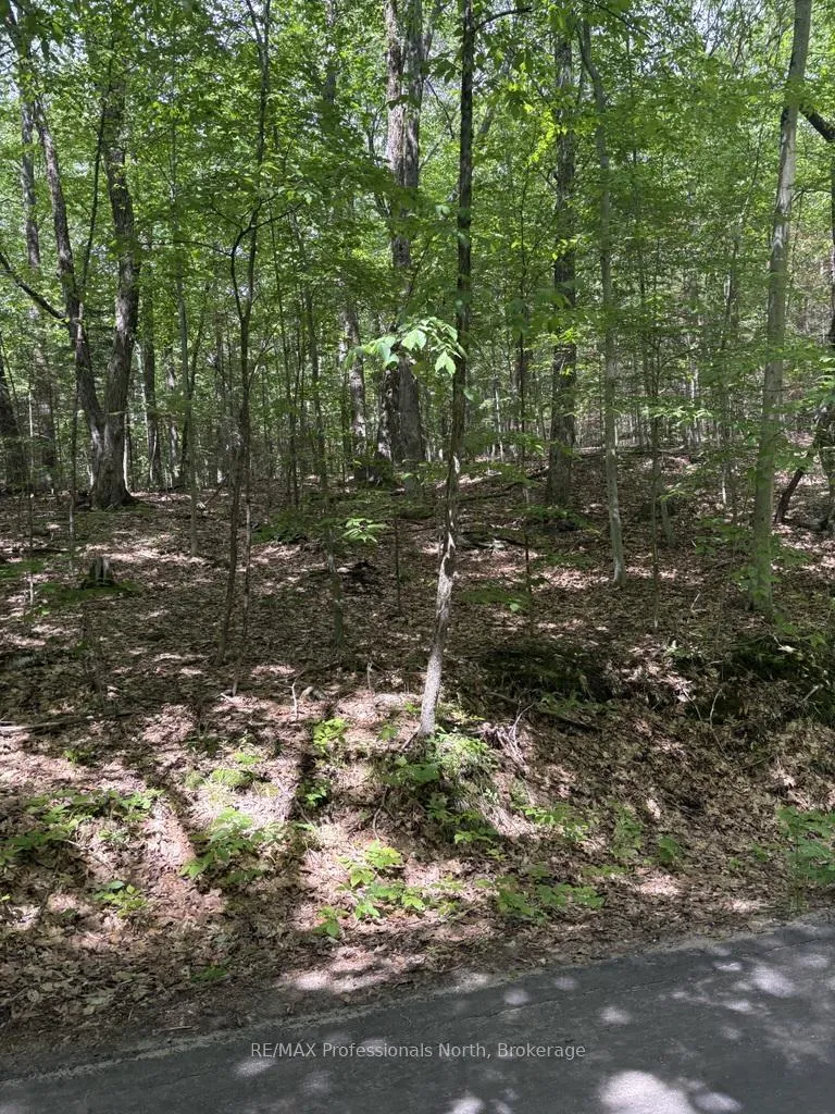 Photo 3 of Wigamog Road, Minden Hills, Minden — HOMEH