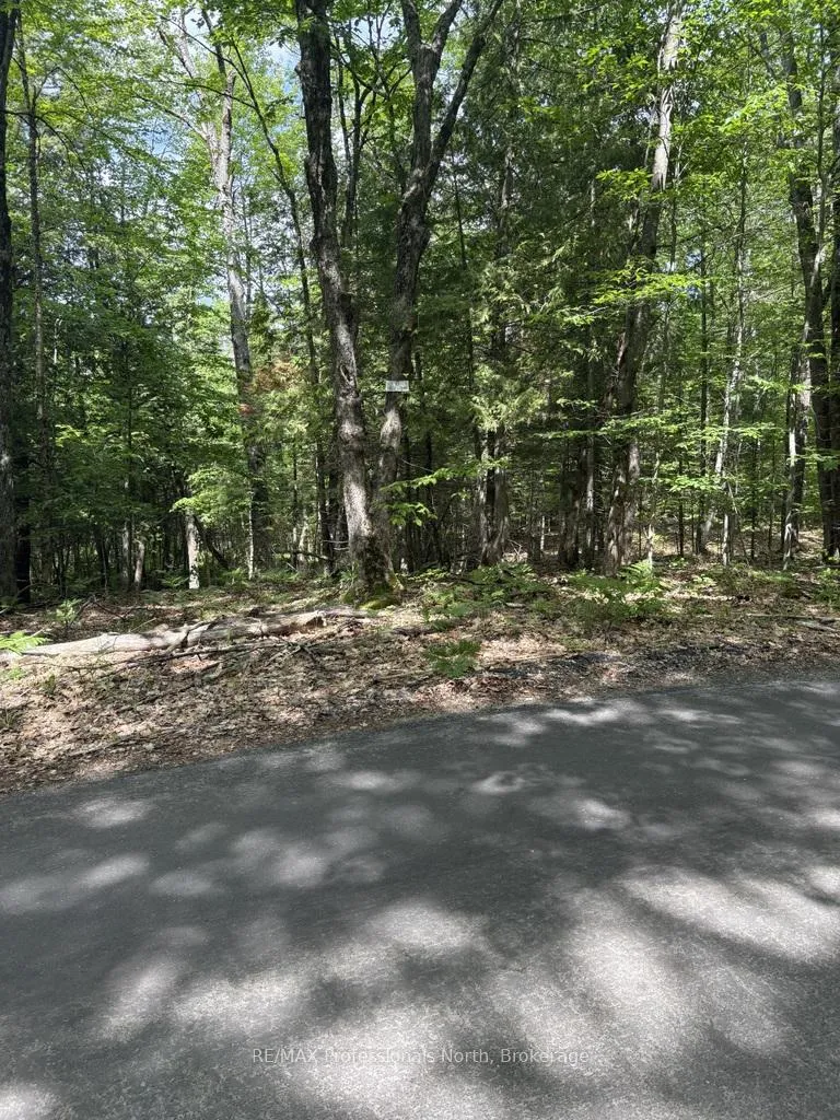 Photo 5 of Wigamog Road, Minden Hills, Minden — HOMEH