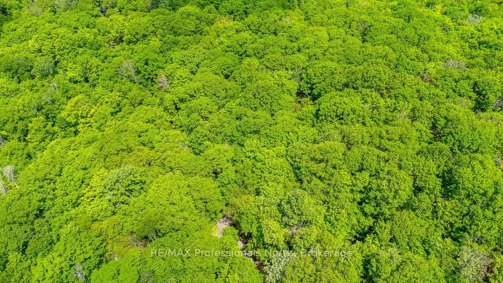 Photo 9 of Wigamog Road, Minden Hills, Minden — HOMEH