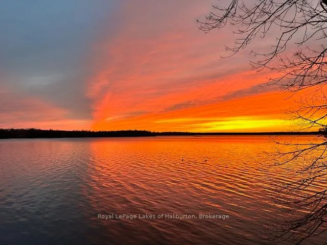 Photo 44 of 83 Sunset Beach Road, Kawartha Lakes, Laxton/Digby/Longford — HOMEH