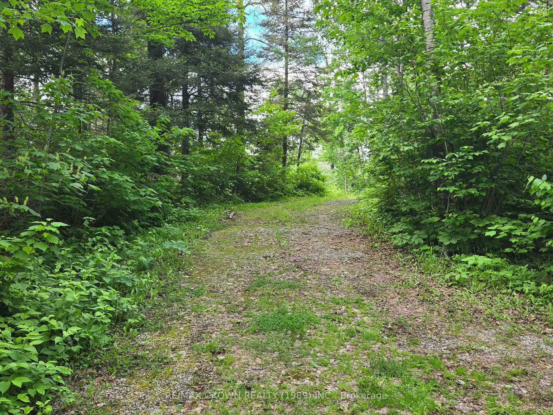 Photo 4 of 127 White Pine Road, Unorganized Townships, Tilden Lake — HOMEH