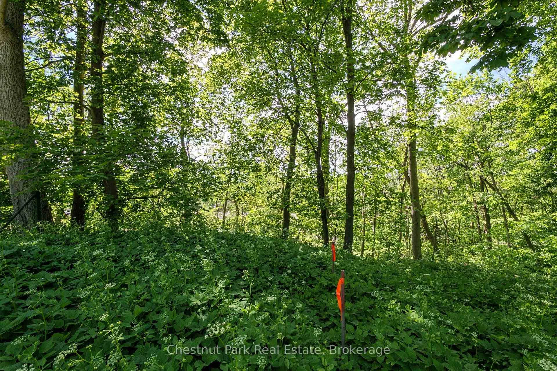 Photo 8 of 956 6th Avenue E, Owen Sound — HOMEH