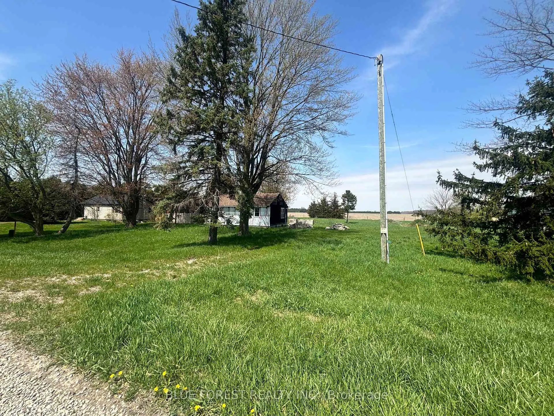 Photo of 12003 Base Line