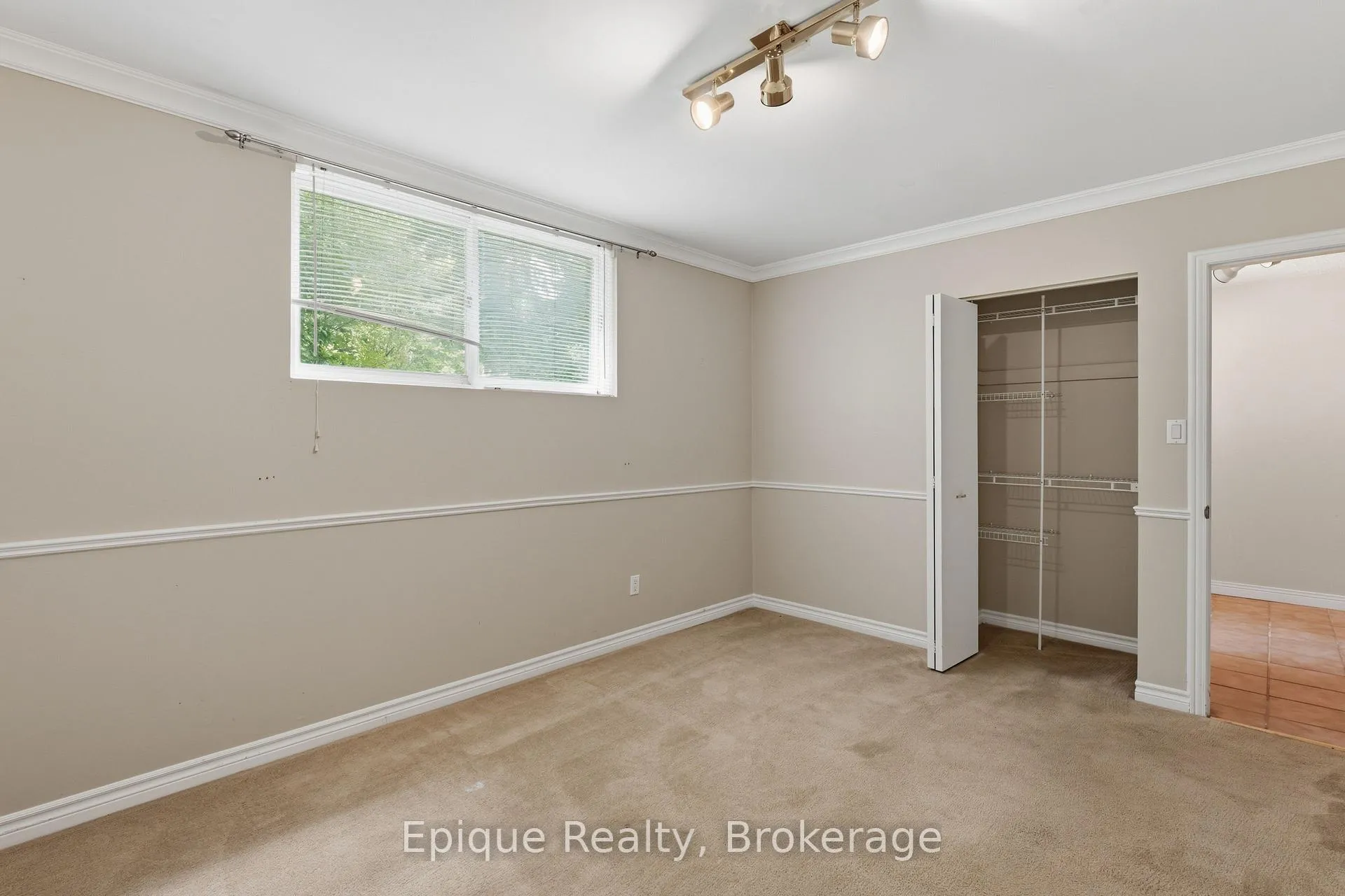 Photo 24 of 50 Combermere Crescent, Waterloo, Beechwood — HOMEH