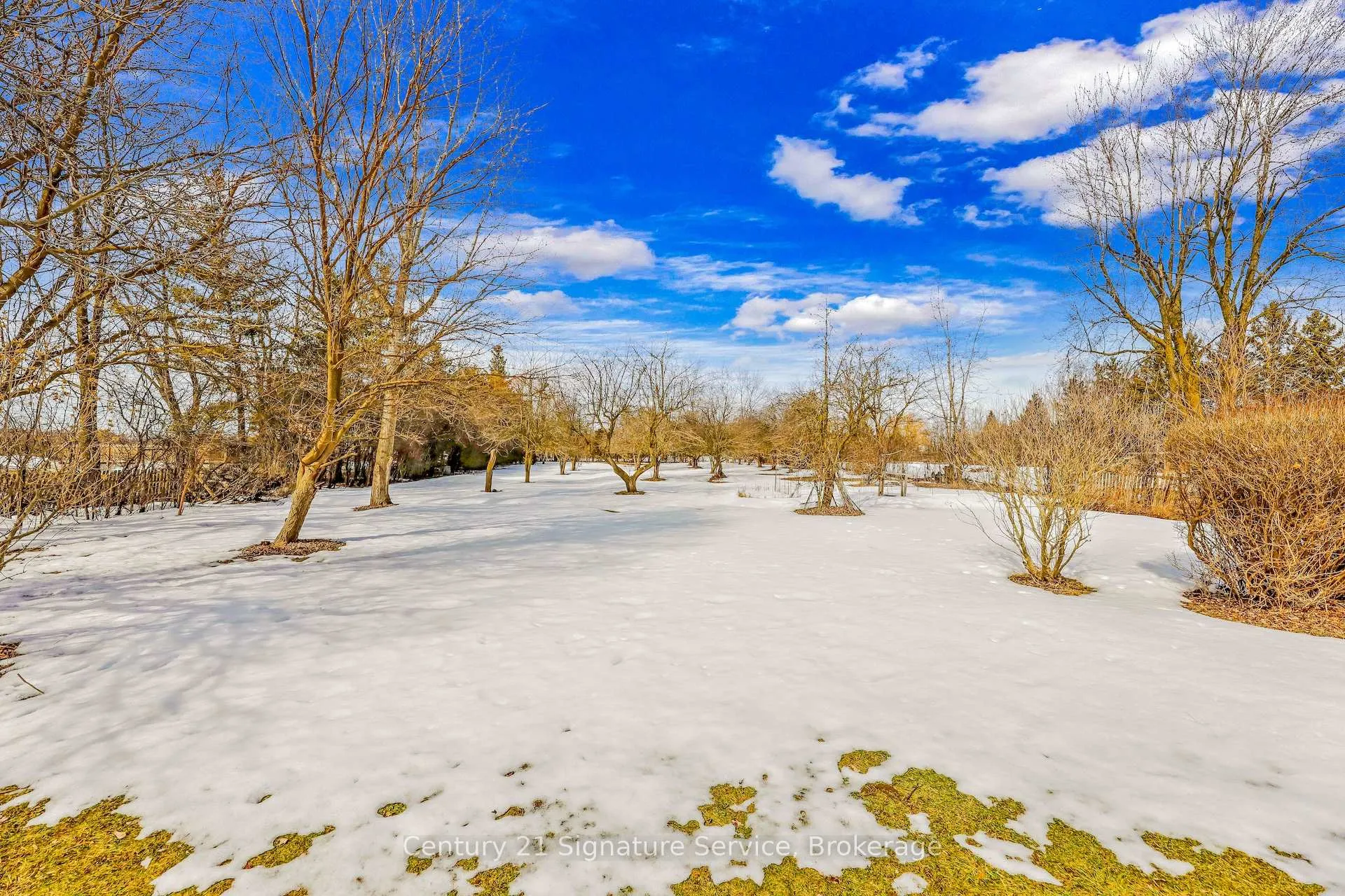 Photo 41 of 8026 Mayfield Road, Caledon, Rural Caledon — HOMEH