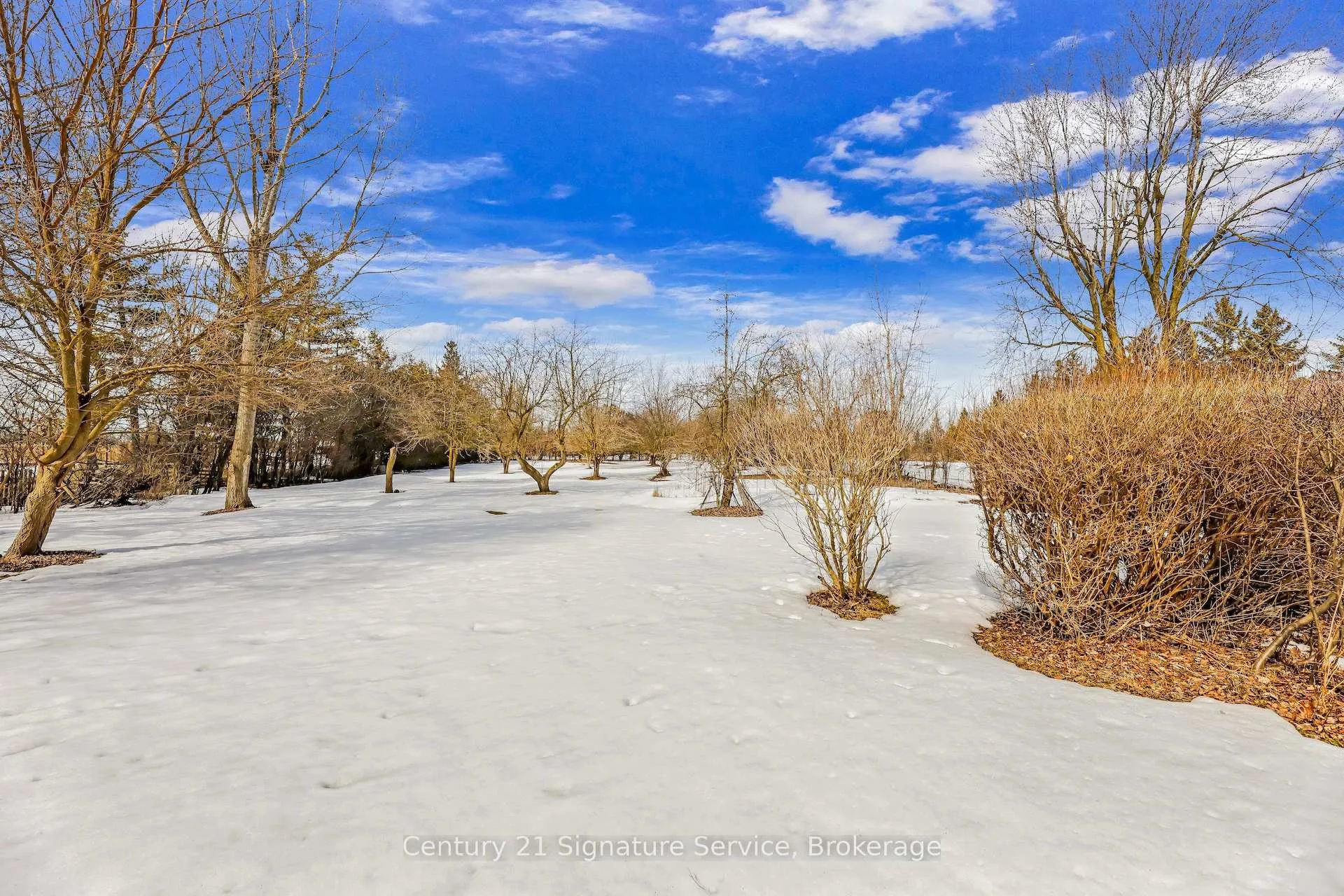 Photo 42 of 8026 Mayfield Road, Caledon, Rural Caledon — HOMEH