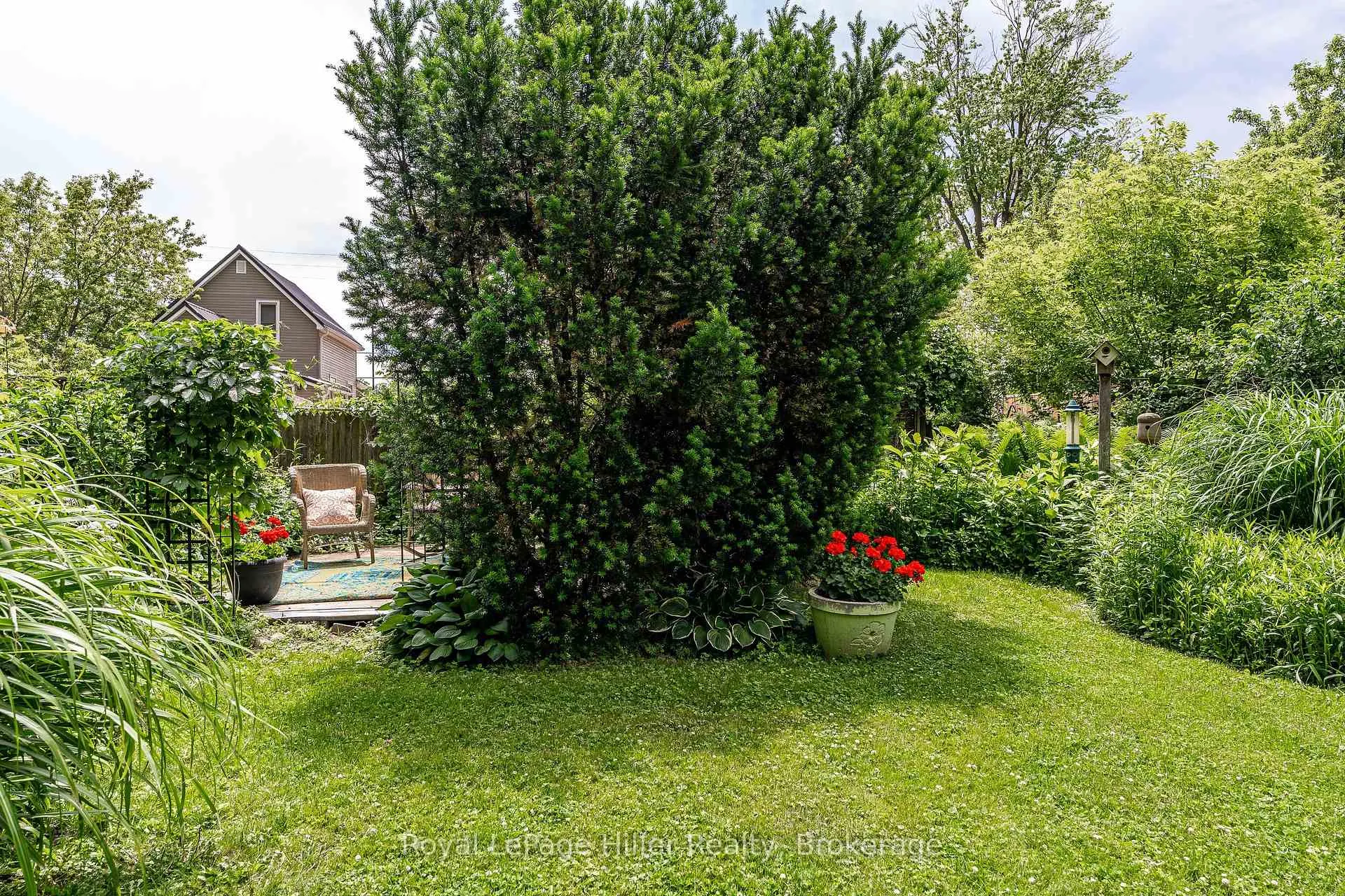 Photo 43 of 121 Milton Street, Stratford — HOMEH