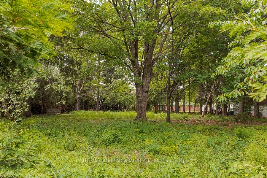 Photo 17 of 60 Arnold Avenue, Vaughan, Crestwood-Springfarm-Yorkhill — HOMEH